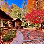 Log Cabin - Natures Oasis - Fire Pit & Gazebo